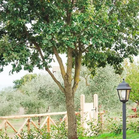 Poggio Degli Ulivi Farm stay Bomarzo