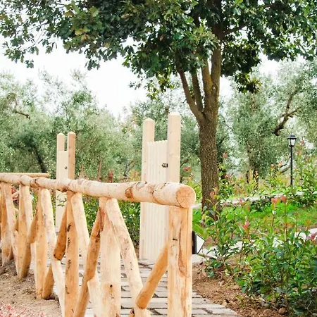 Poggio Degli Ulivi Farm stay