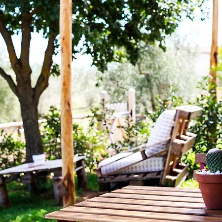 Poggio Degli Ulivi Agroturismo