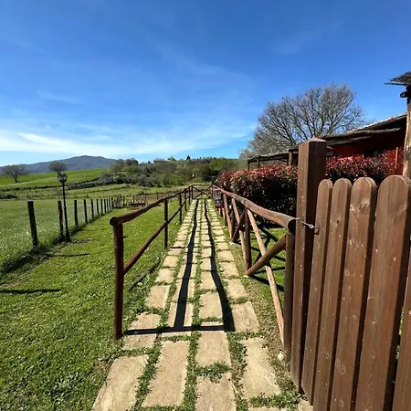 Poggio Degli Ulivi *