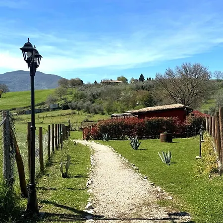 Poggio Degli Ulivi Farm stay *