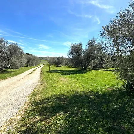 Poggio Degli Ulivi Farm stay