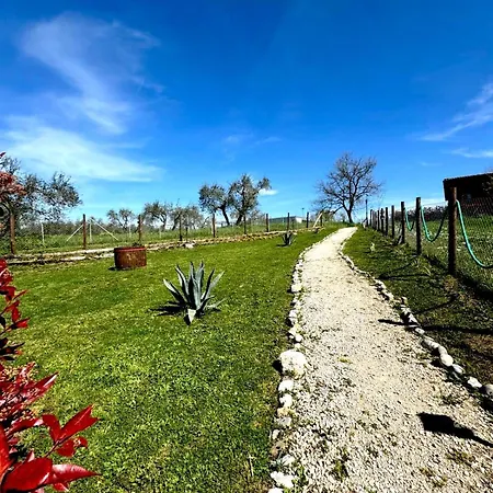Farm stay Poggio Degli Ulivi *