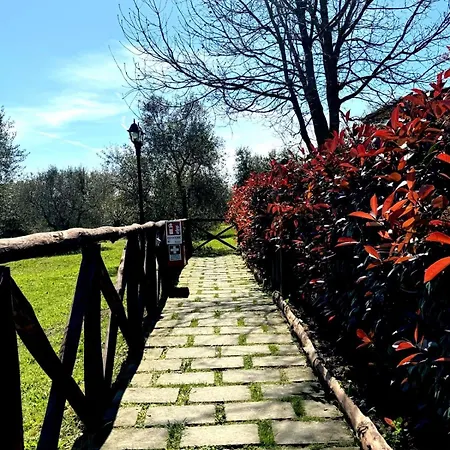 Poggio Degli Ulivi