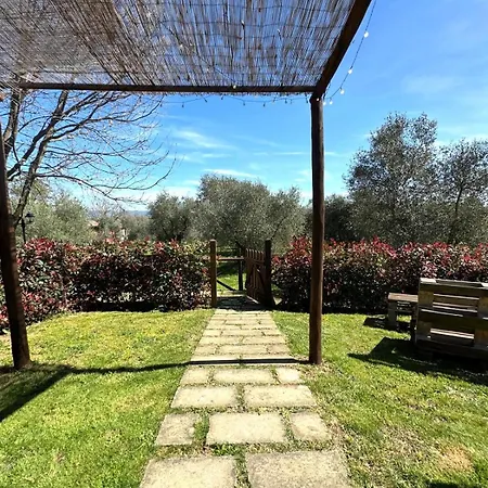 Farm stay Poggio Degli Ulivi