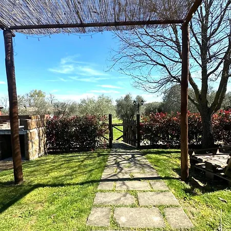 Poggio Degli Ulivi Farm stay